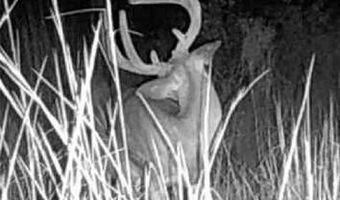 Off Hwy F, Annapolis, MO 63620