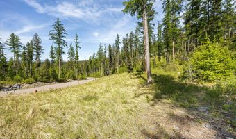 258 Trading Post Trl, Bigfork, MT 59911