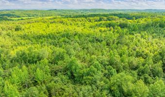 00 County Road 208, Athens, TN 37303