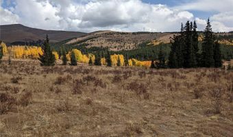 0 Snow Cap Peaks Rd, Alma, CO 80402