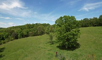 12459 County Road 5-402, Ava, MO 65608