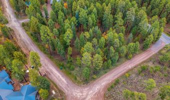 COUNTY ROAD 2196, Alpine, AZ 85920