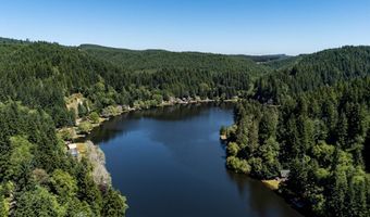 9956 BEACH Dr, Birkenfeld, OR 97016