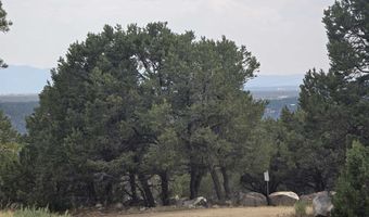 Lobo Ranch Road, Arroyo Hondo, NM 87513