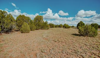 Pulp Mill Road, Clay Springs, AZ 85923
