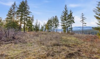 3804 Kelso Lake Rd, Athol, ID 83801