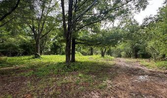 HWY 9, Banner, MS 38913