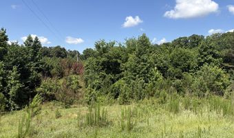 Beauty Hill Rd lot 1, Bethel Springs, TN 38315