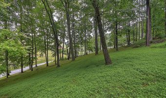 13275 Chip Ridge Rd, Abingdon, VA 24210