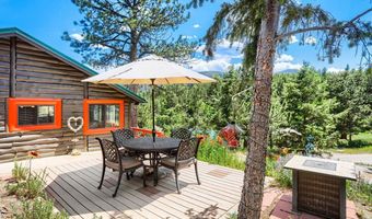 449 Highway 7 Business, Allenspark, CO 80510