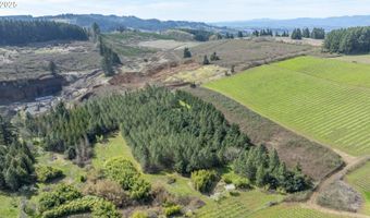 Three Trees Ln, Amity, OR 97101