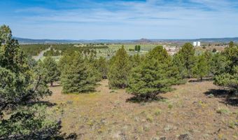 1167 Grande Rd, Alturas, CA 96101