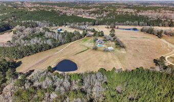 766 Pinola Braxton Rd, Braxton, MS 39044