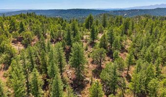 17775 County Road 51, Boncarbo, CO 81024