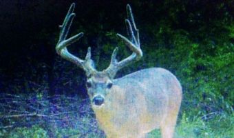 E 1931 RD, Antlers, OK 74523