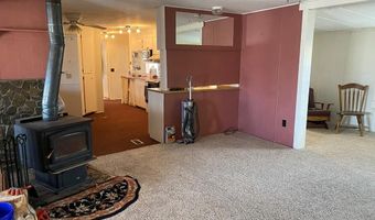 900 Challis Creek Rd, Challis, ID 83226