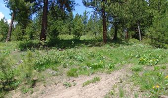 28 Rehn Loop Lot 2, Cascade, ID 83611