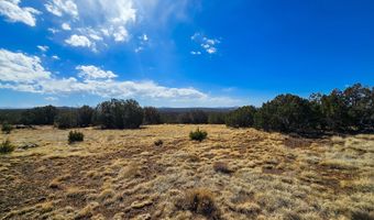 Show Low Pines Unit 3 lot 468, Concho, AZ 85924
