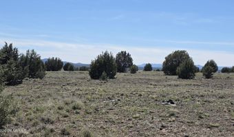 Ten Tanks Rd lot 6, Ash Fork, AZ 86320