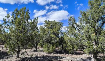 0 Westwood Rnch, Ash Fork, AZ 86320