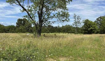 676 County Road 403, Alton, MO 65606