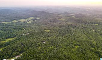 200 TABLEE LANE Lot 17.65, Ashland, AL 36251