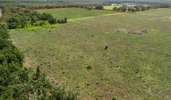 7009 129 Hwy, Bell, FL 32619
