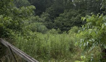 Collins Road, Blaine, TN 37709