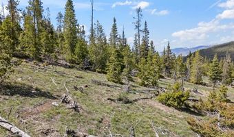 465 Gateway Dr, Breckenridge, CO 80424
