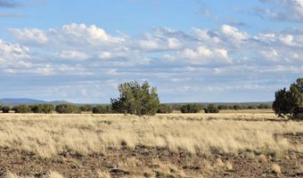 293 294 Arizona Rd, Ash Fork, AZ 86320