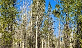 Tbd Hannah's Crossing, Ashton, ID 83420