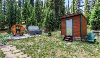 16 Bemrose Trl, Blue River, CO 80424