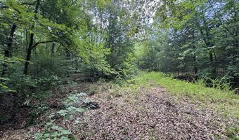 1324 Highway 81 N, Calhoun Falls, SC 29628