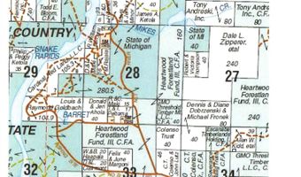 33 Acres Off Net Riv, Amasa, MI 49903