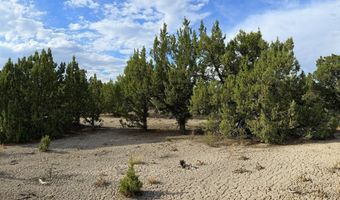 816 Hamilton Stage Rd, Elko, NV 89801