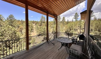 106 Donkey Ct, Alto, NM 88312
