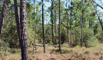 Sycamore Street, Alford, FL 32420