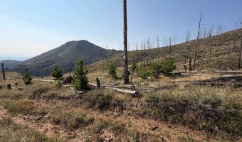 Pine Acres Rd, Bellvue, CO 80512