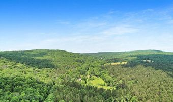 482 Melondy Hill Rd, Afton, NY 13730