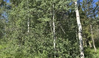 L22 CARIBOU FOREST DRIVE, Alpine, WY 83128