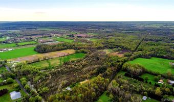 Beaver Road, Alexander, NY 14005