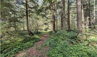 62955 E MOUNTAIN COUNTRY Ln, Brightwood, OR 97011