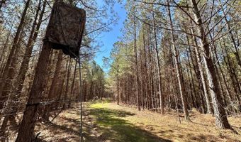 3 County Road 5112, Ethel, MS 38829