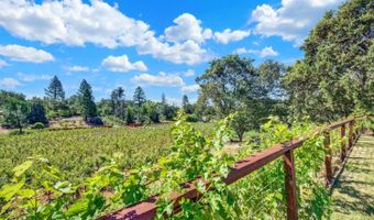 875 White Cottage Rd N, Angwin, CA 94508