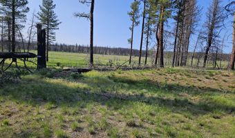 Parazoo Trail Lot 2 Block 8, Bly, OR 97622
