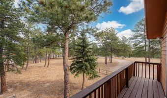 440 La Hermosa Dr, Bellvue, CO 80512