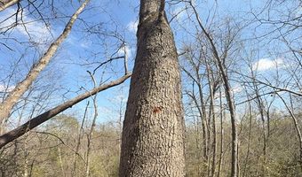 Parsons Road, Ashland, VA 23015
