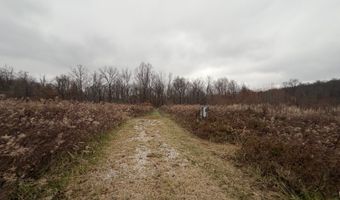 TBD E Willow Rd, Bloomfield, IN 47424