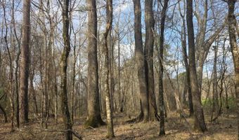 U.S. Highway 51, Bogue Chitto, MS 39629