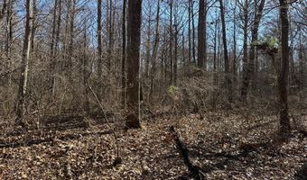Cr 127, Abbeville, MS 38601